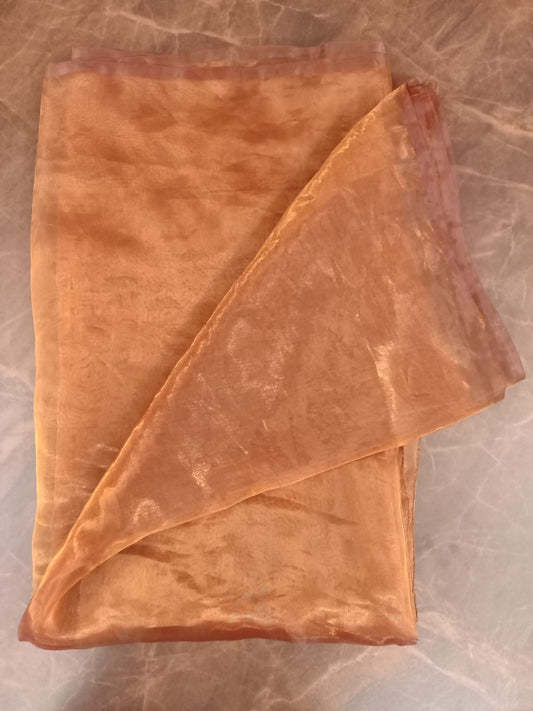 Organza saree
